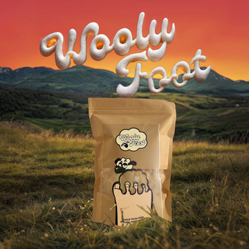 WoolyFoot - All Natural Blister Solution Hikers Wool